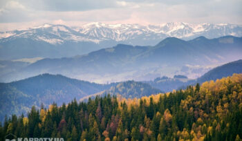 Zakarpatská Ukrajina